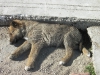 SANY0802