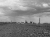 sany0495