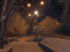 sany0833