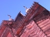 sany0961